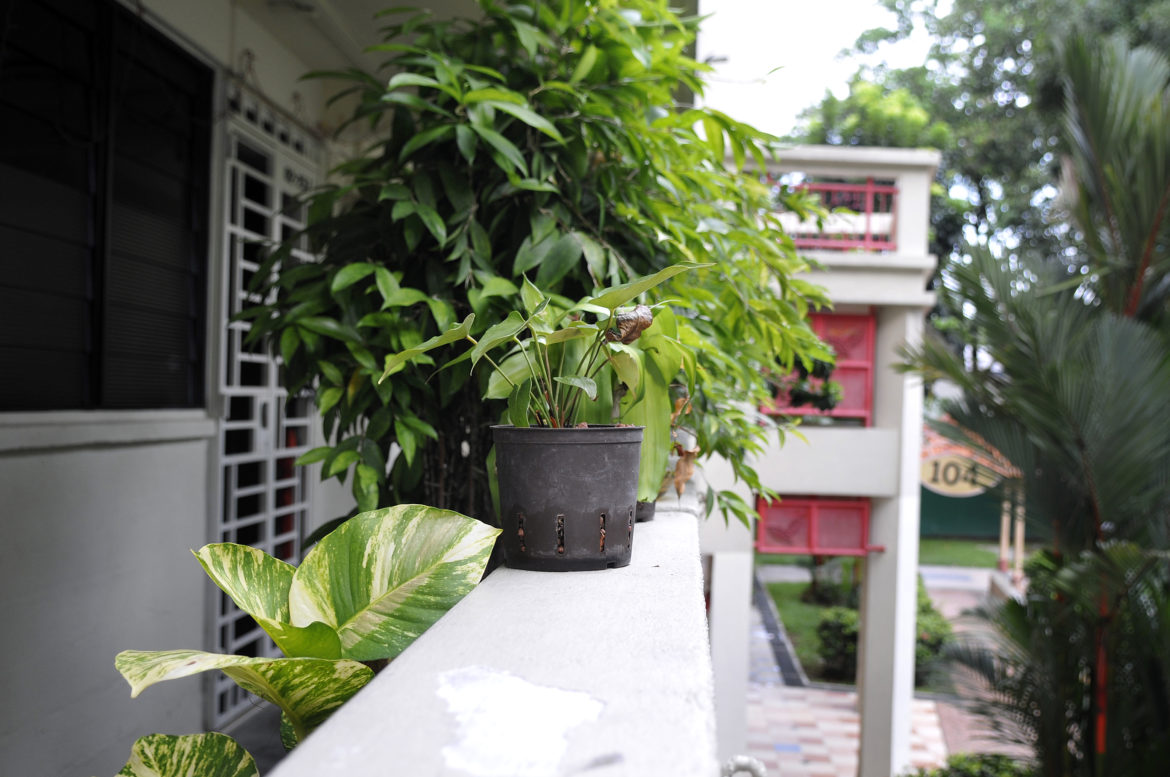 AAR8030 Addressing the high-rise litter menace
