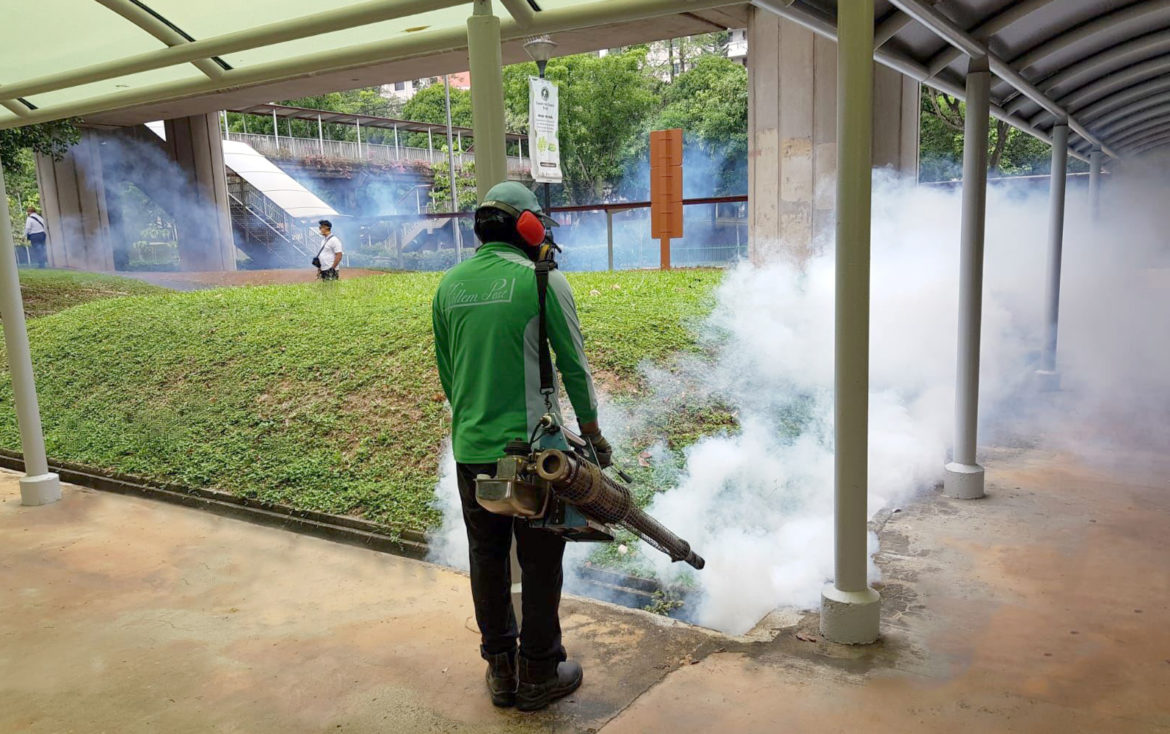 for Pg 3 YH dengue Do the 5-step Mozzie Wipeout at home to keep dengue at bay