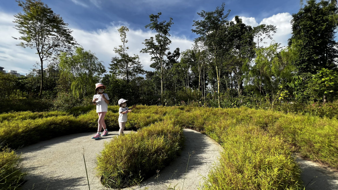 Jurong Lake Gardens: A Former Swamp Transformed Into Natural Wonder