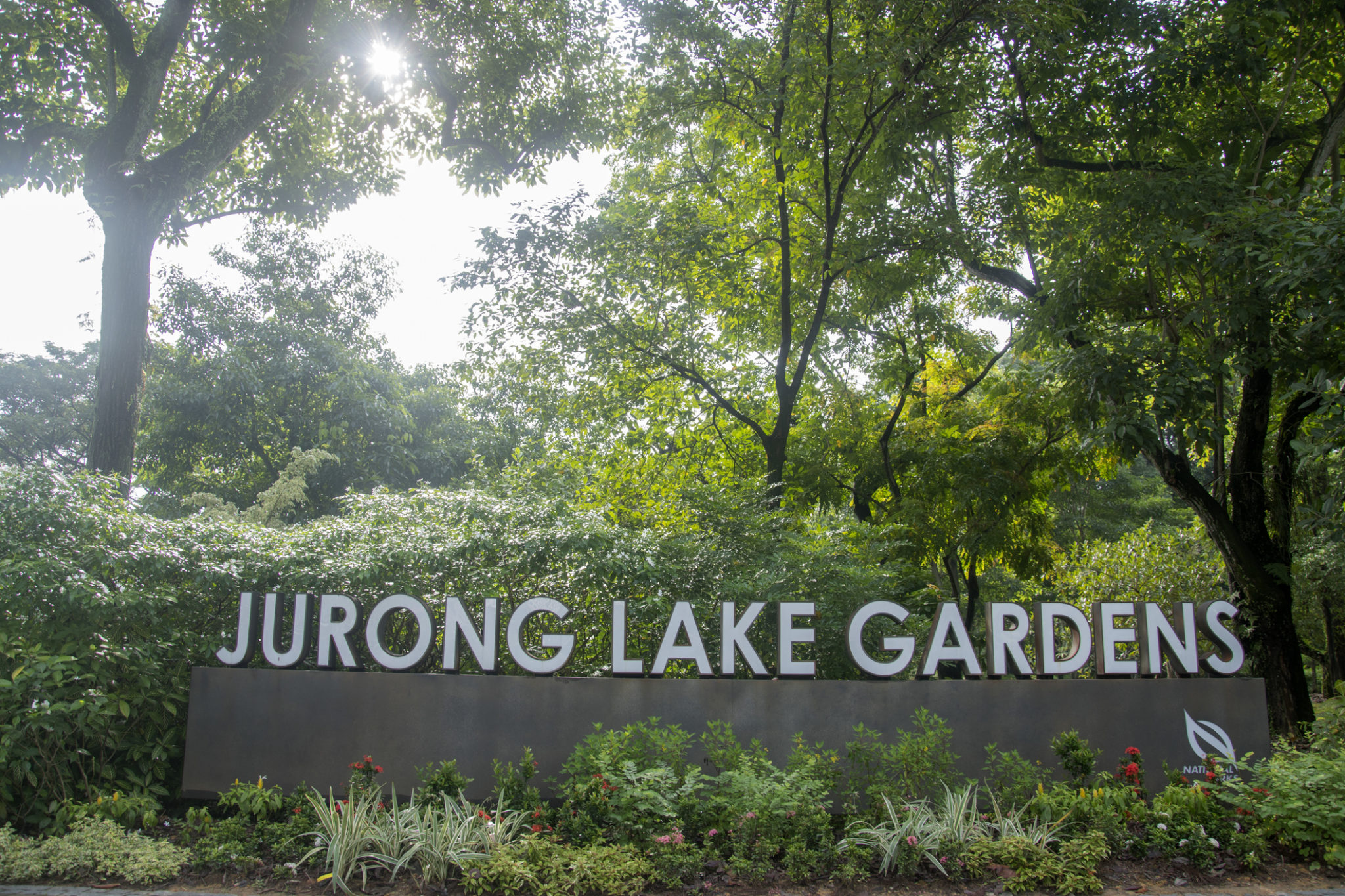 Jurong Lake Gardens A Former Swamp Transformed Into Natural Wonder