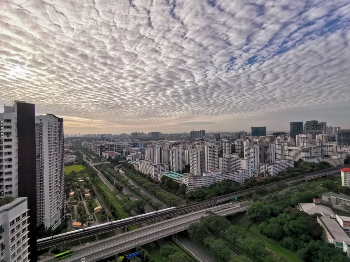 Meet the winners of the JRTC photo competition