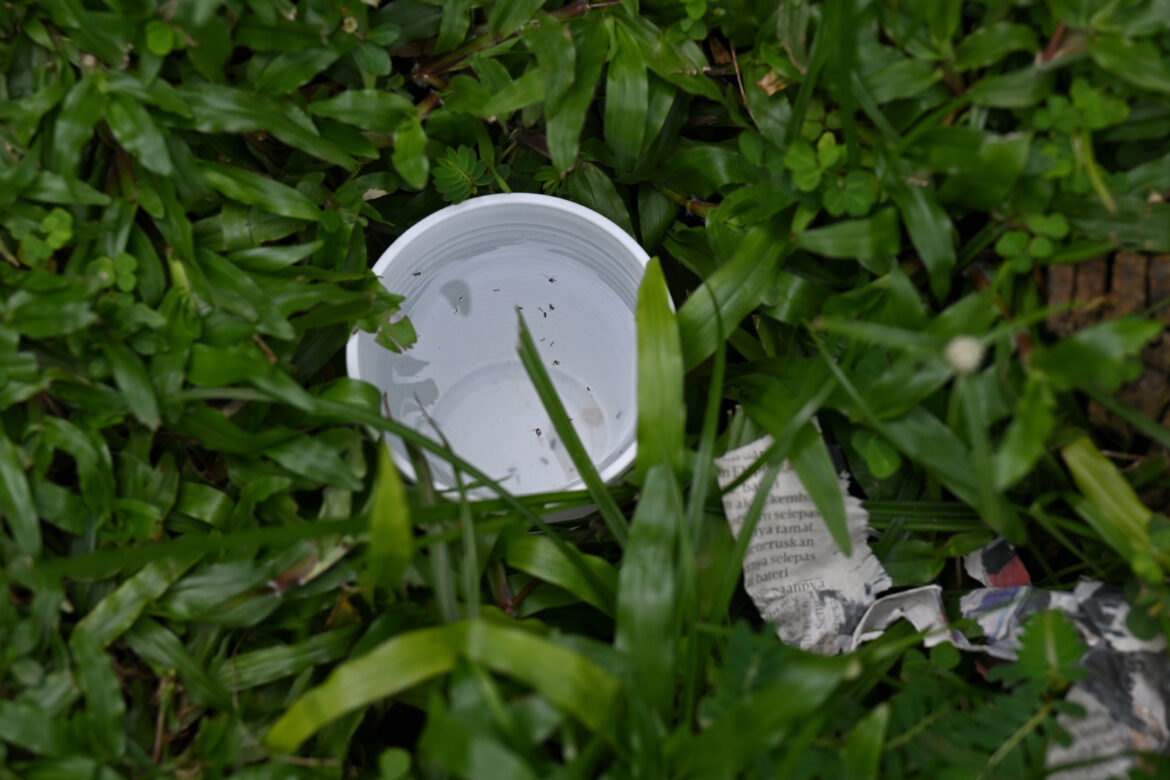 Keeping Jurong-Clementi Dengue-Free 