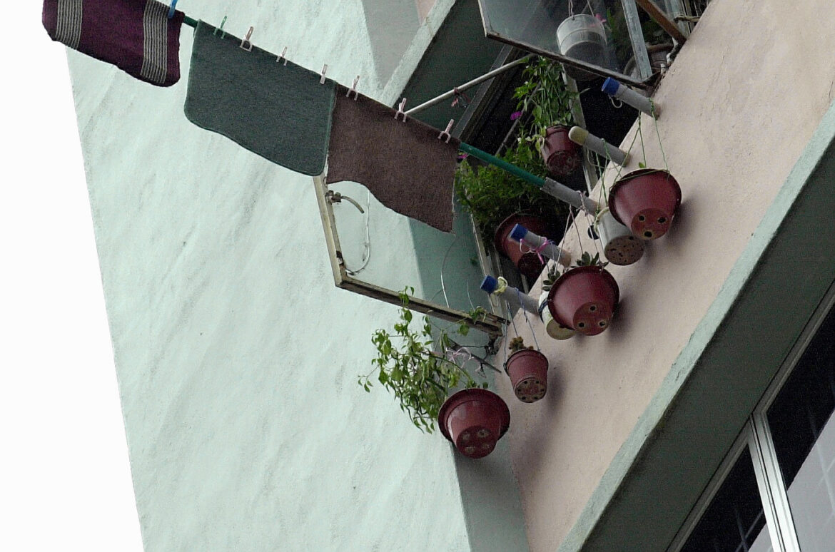 The Dangers Posed by Killer Litter